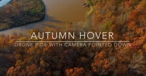 Autumn Hover